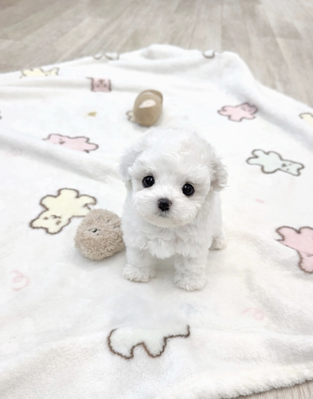 Ȯ�� �̹���