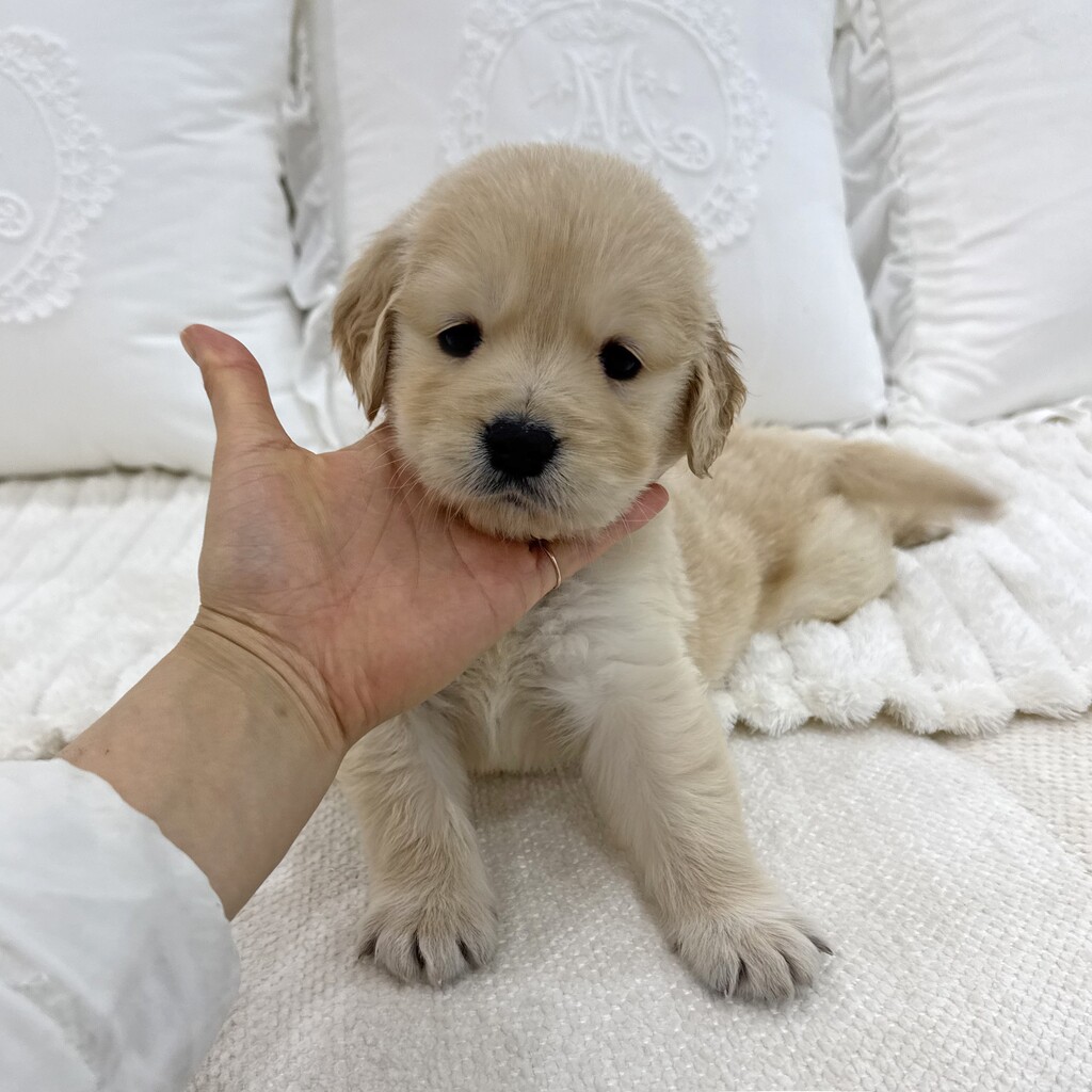 Ȯ�� �̹���