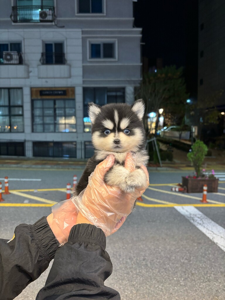 Ȯ�� �̹���