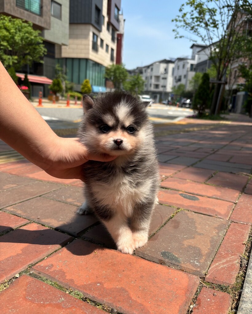 Ȯ�� �̹���