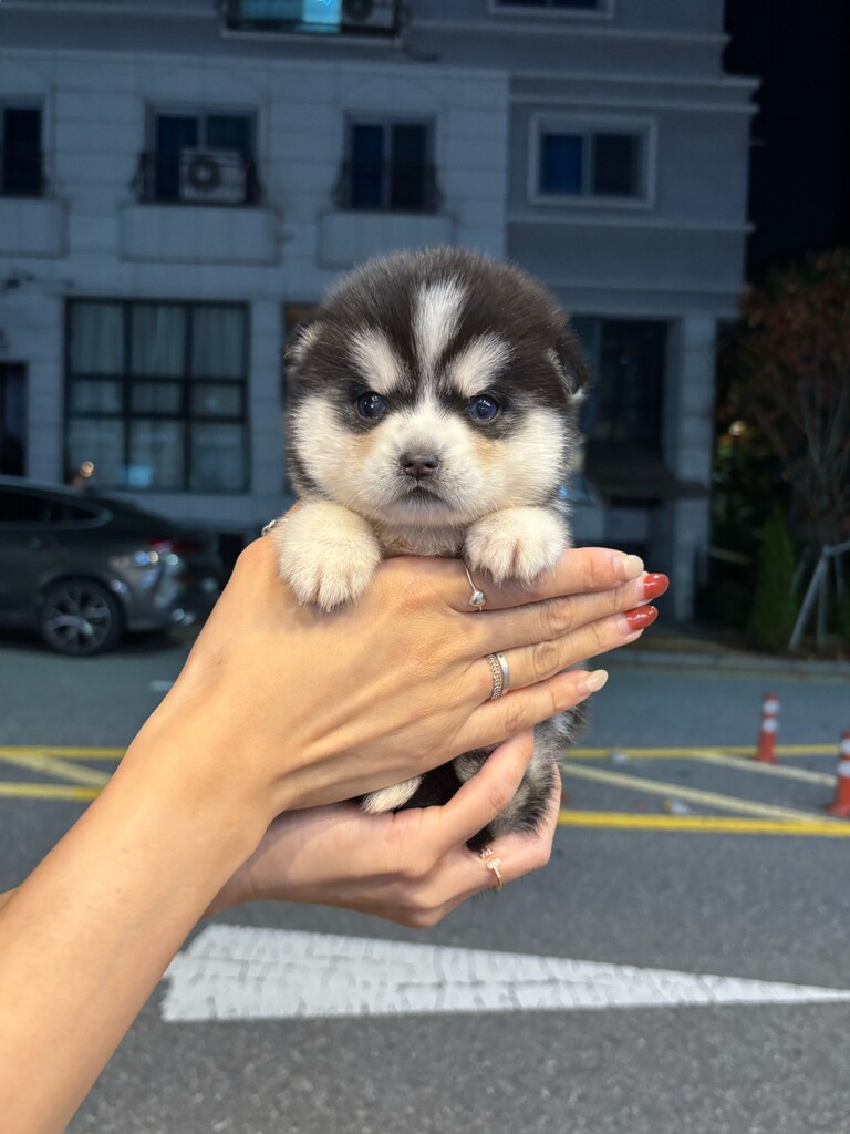 Ȯ�� �̹���