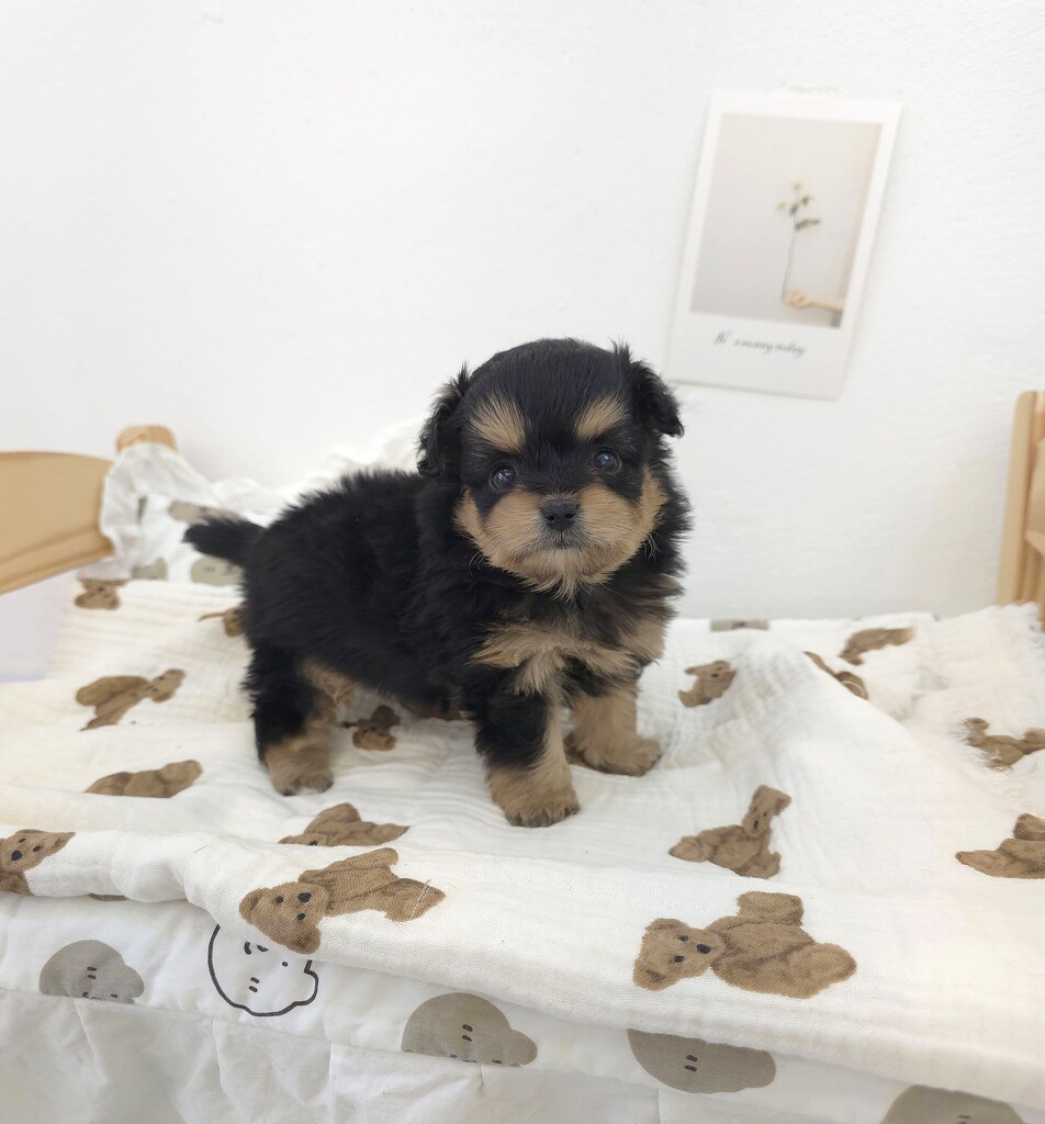 Ȯ�� �̹���