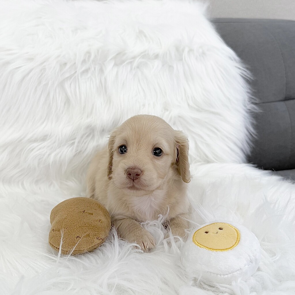 Ȯ�� �̹���