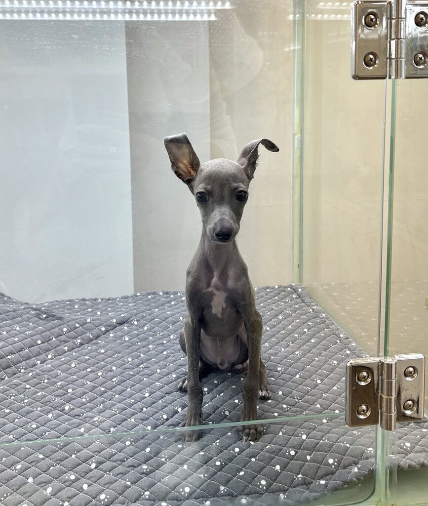 Ȯ�� �̹���