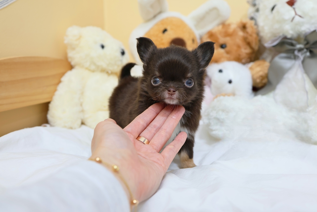 Ȯ�� �̹���