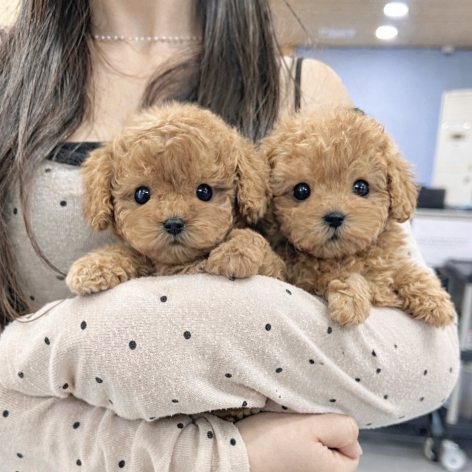 Ȯ�� �̹���