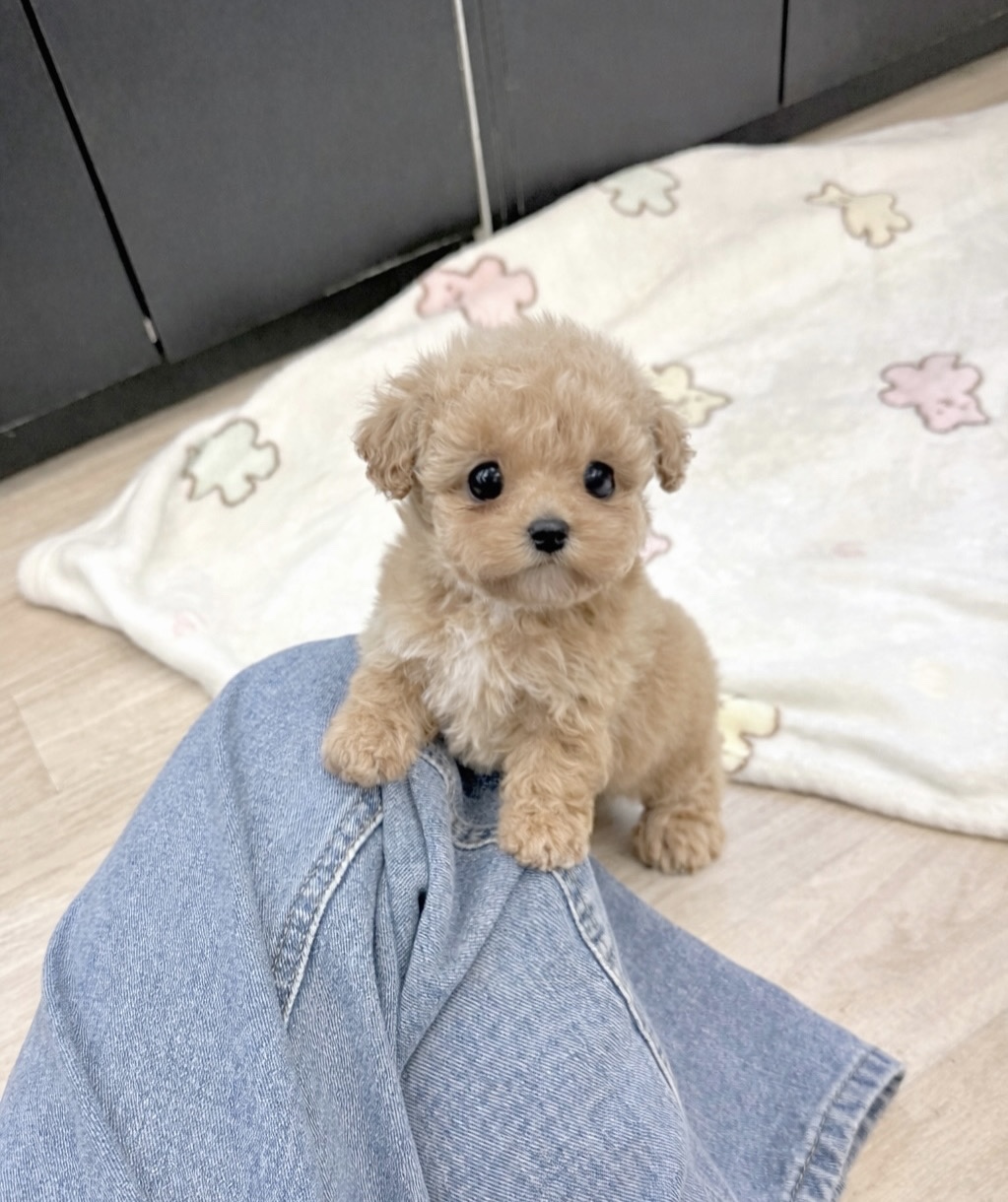 Ȯ�� �̹���