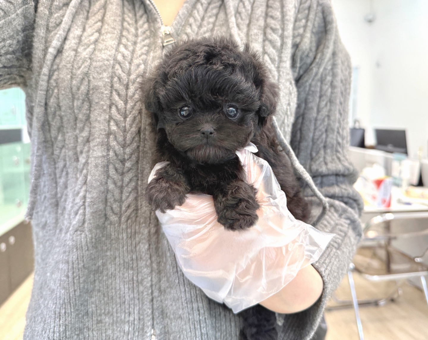 Ȯ�� �̹���