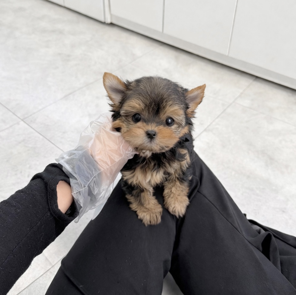 Ȯ�� �̹���