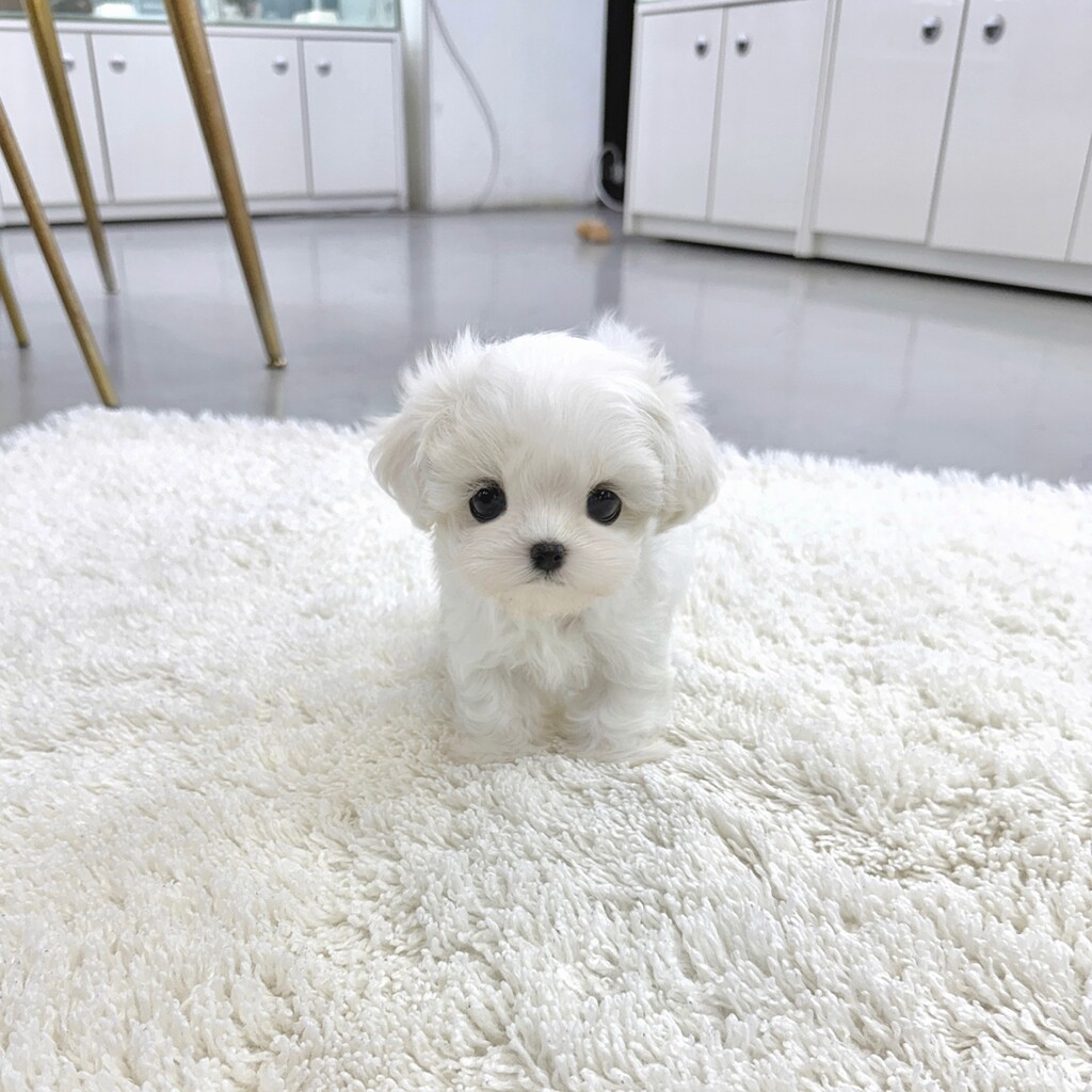 Ȯ�� �̹���