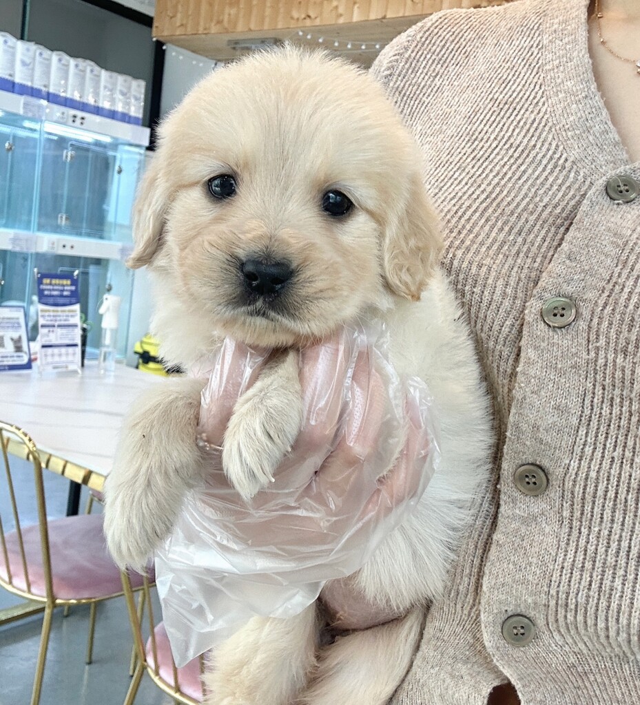 Ȯ�� �̹���