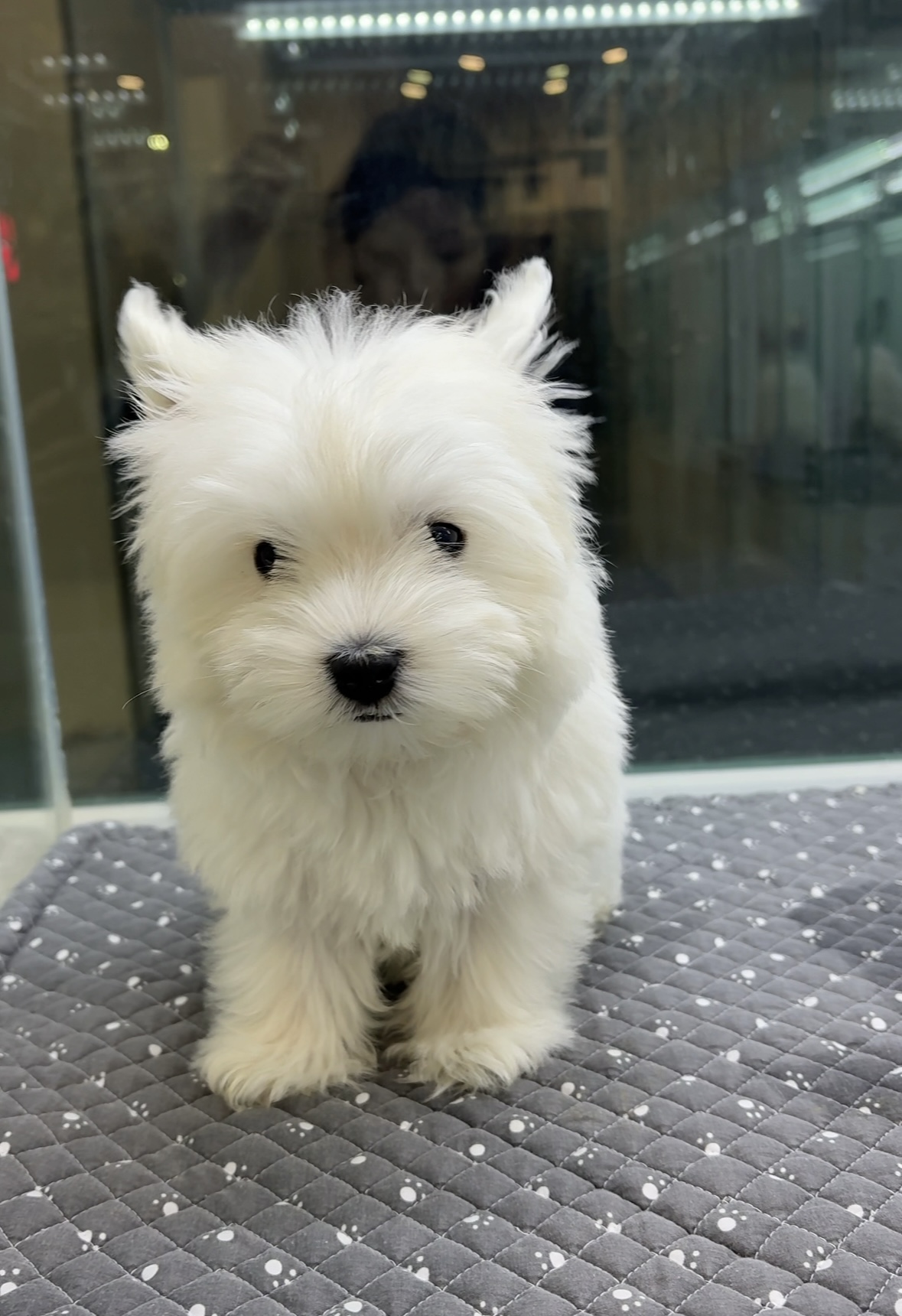 Ȯ�� �̹���