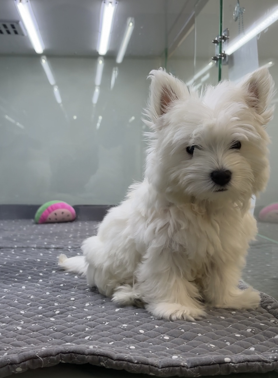 Ȯ�� �̹���