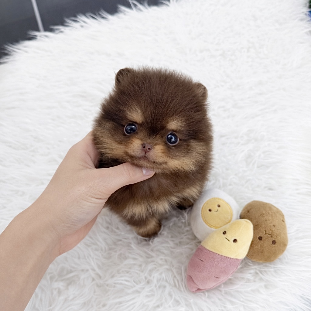 Ȯ�� �̹���