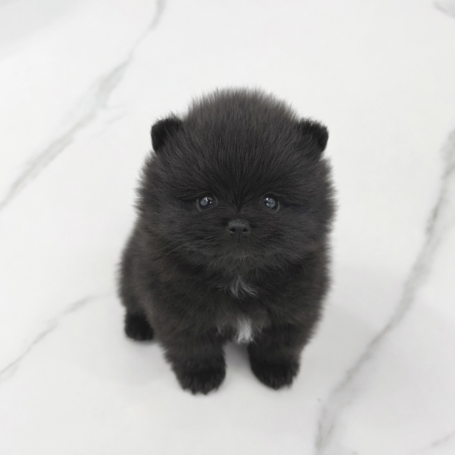 Ȯ�� �̹���