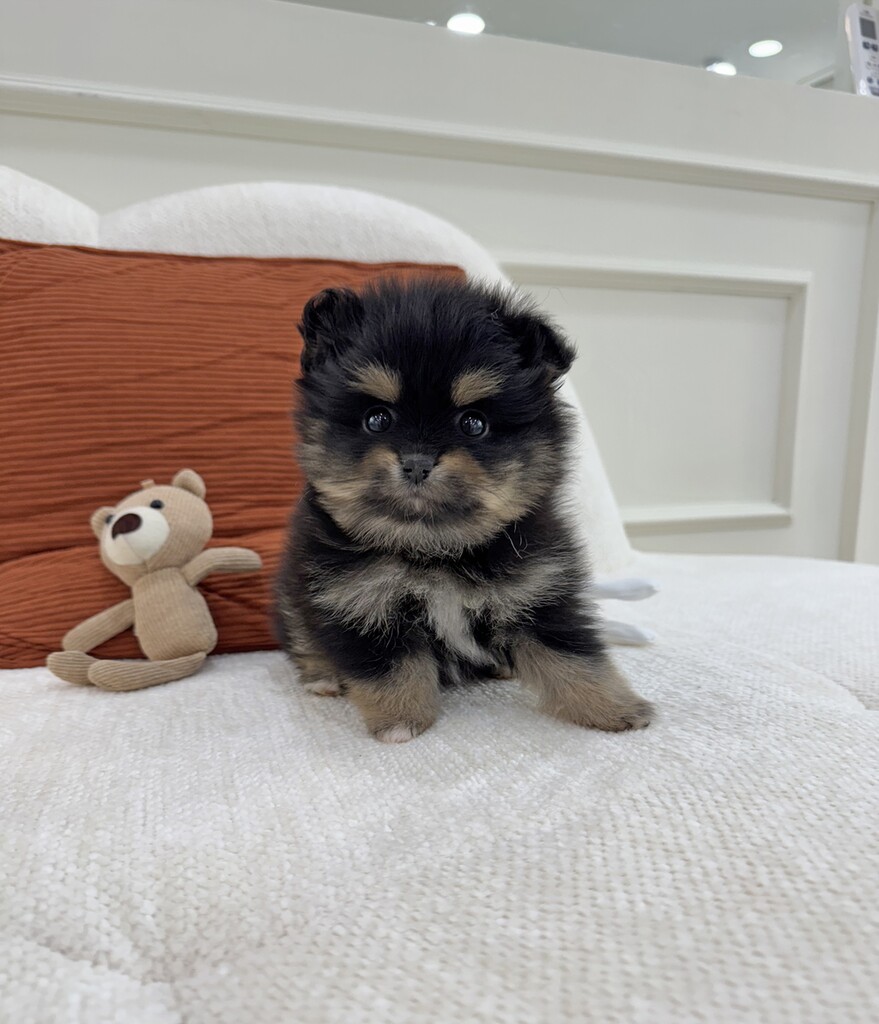 Ȯ�� �̹���