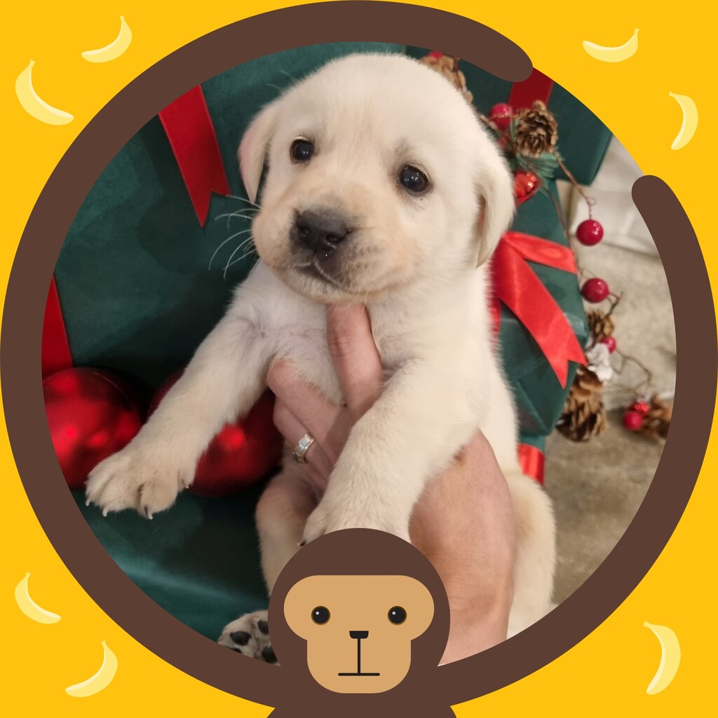 Ȯ�� �̹���