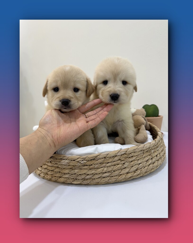 Ȯ�� �̹���