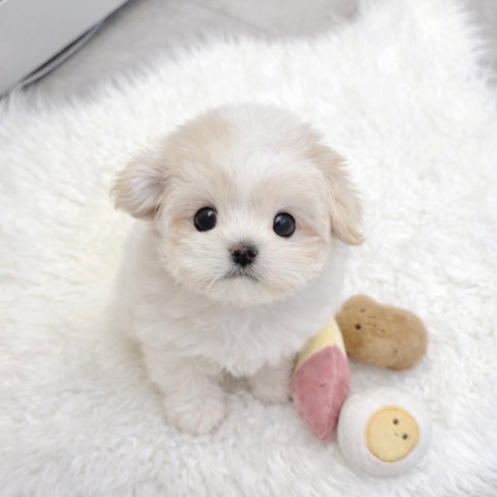 Ȯ�� �̹���