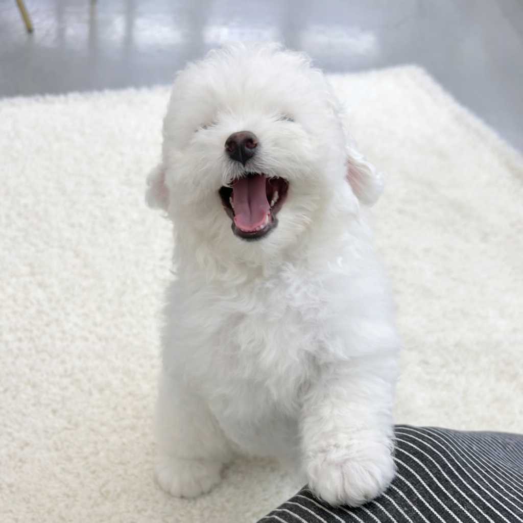 Ȯ�� �̹���