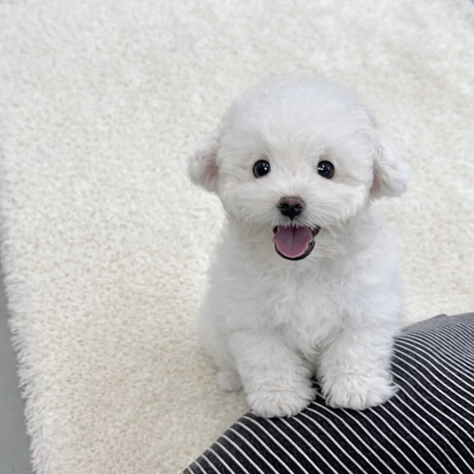 Ȯ�� �̹���