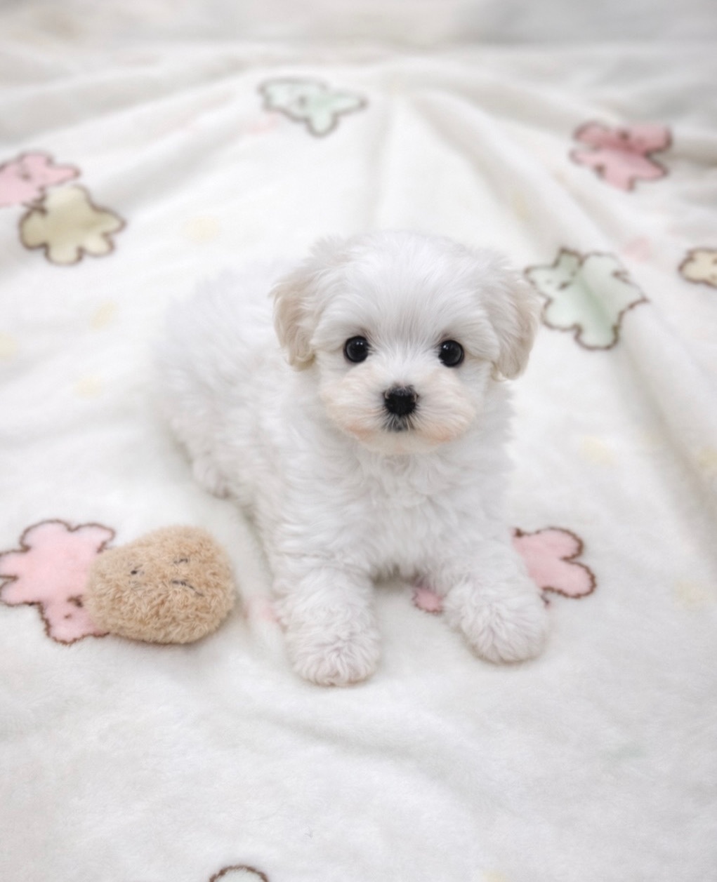 Ȯ�� �̹���