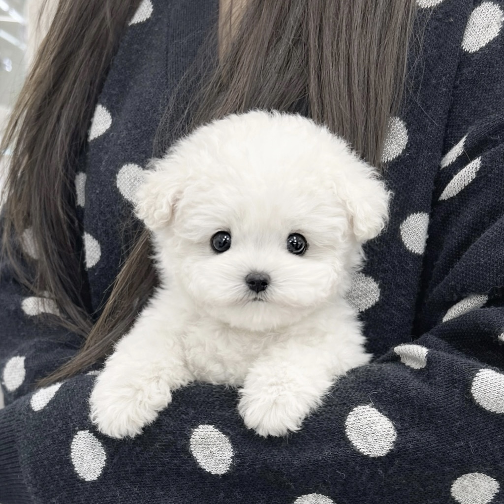 Ȯ�� �̹���