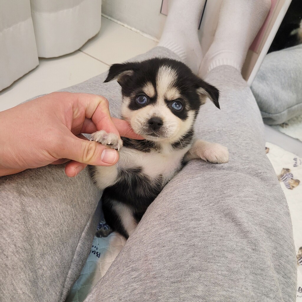 Ȯ�� �̹���