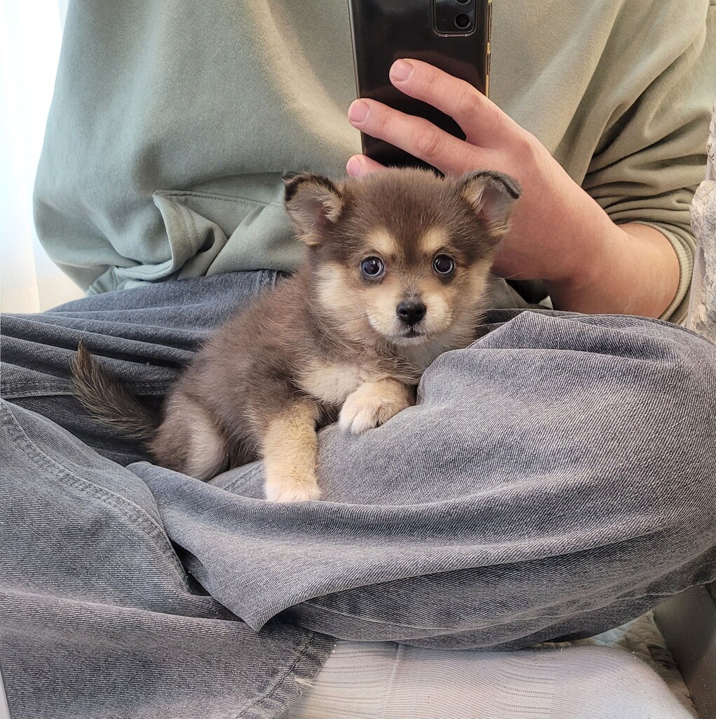 Ȯ�� �̹���