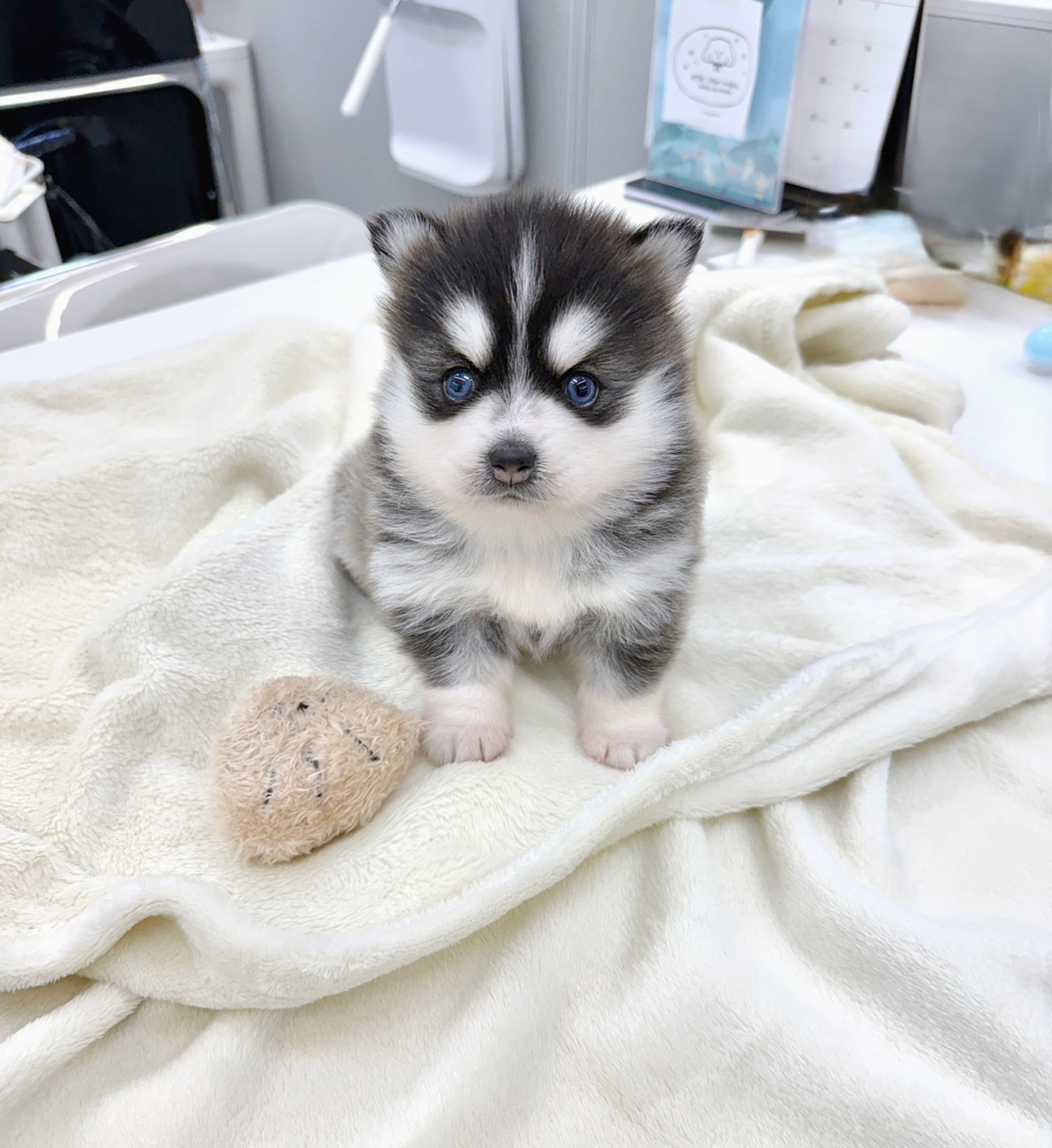 Ȯ�� �̹���