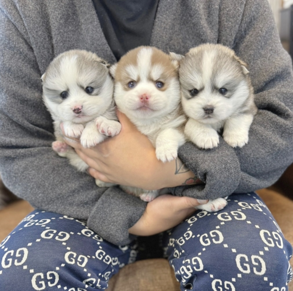 Ȯ�� �̹���