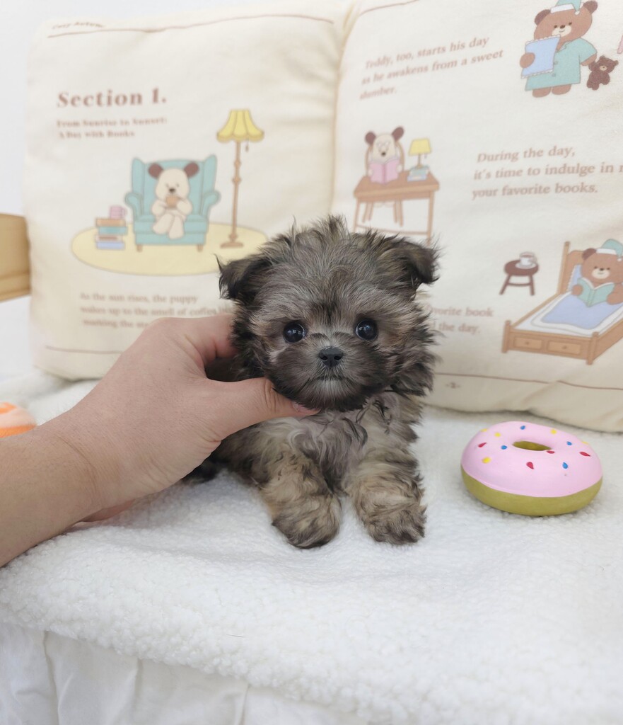 Ȯ�� �̹���