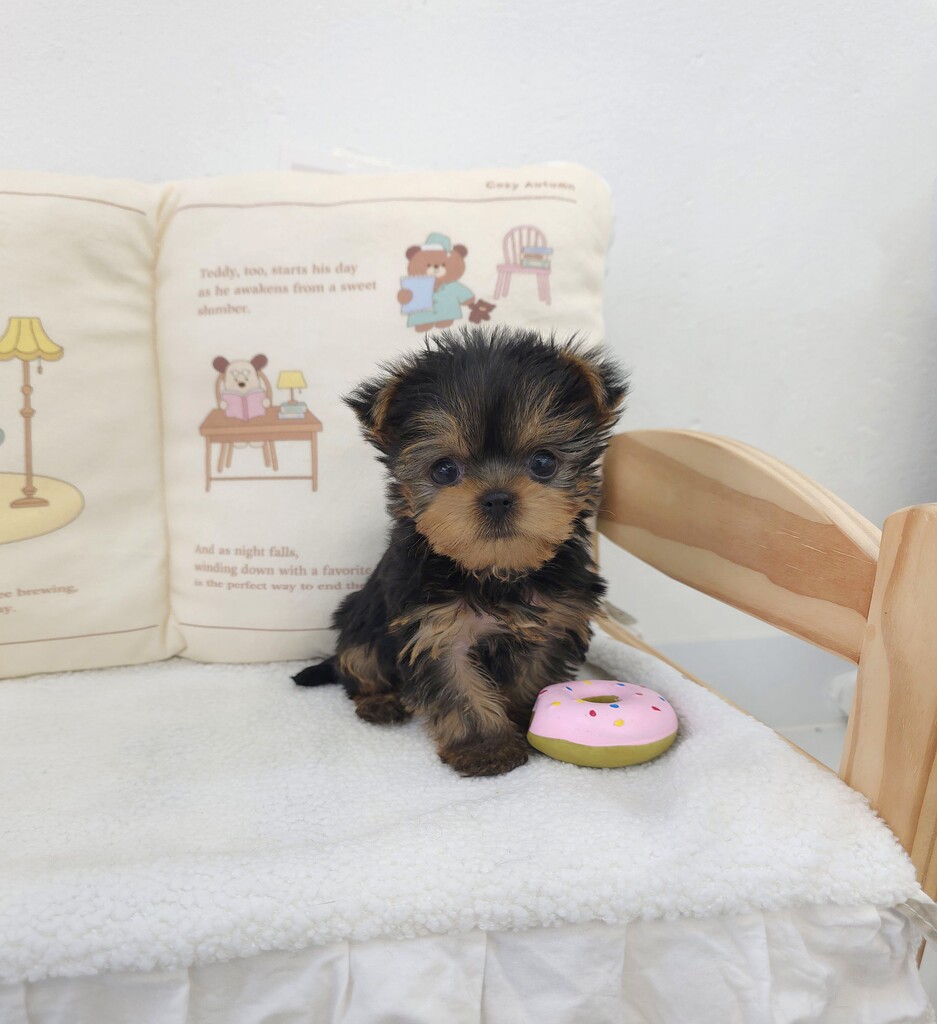 Ȯ�� �̹���