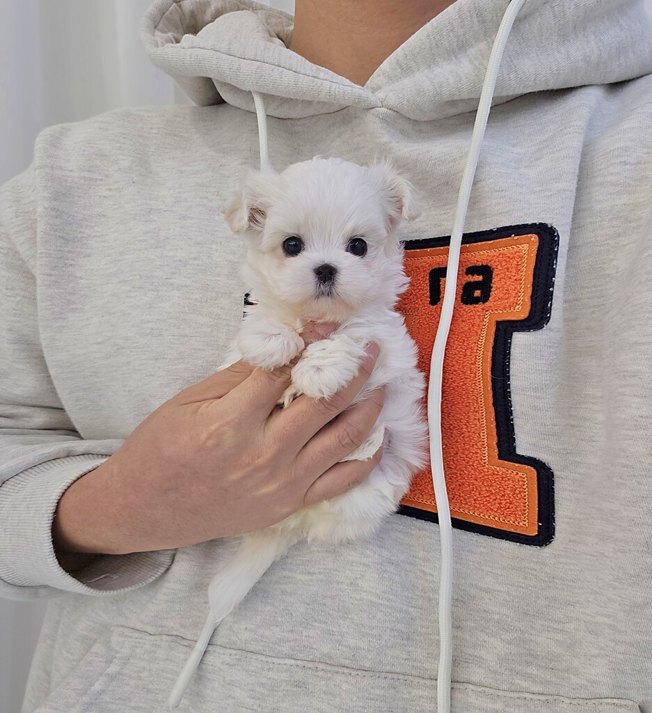 Ȯ�� �̹���