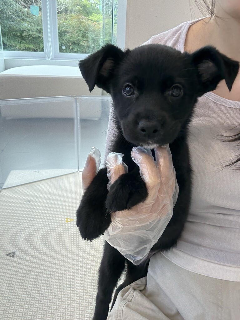 Ȯ�� �̹���