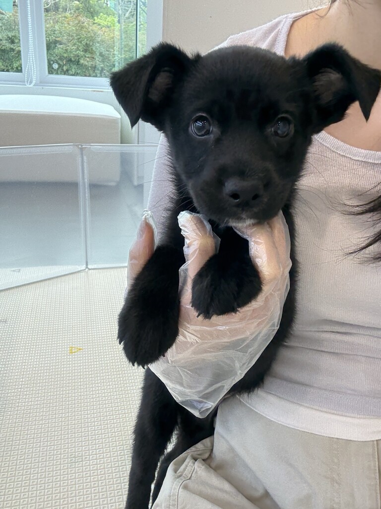 Ȯ�� �̹���