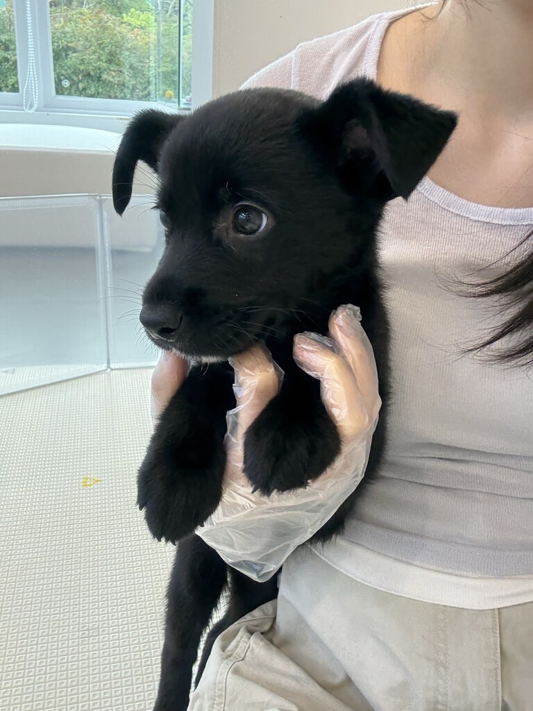 Ȯ�� �̹���