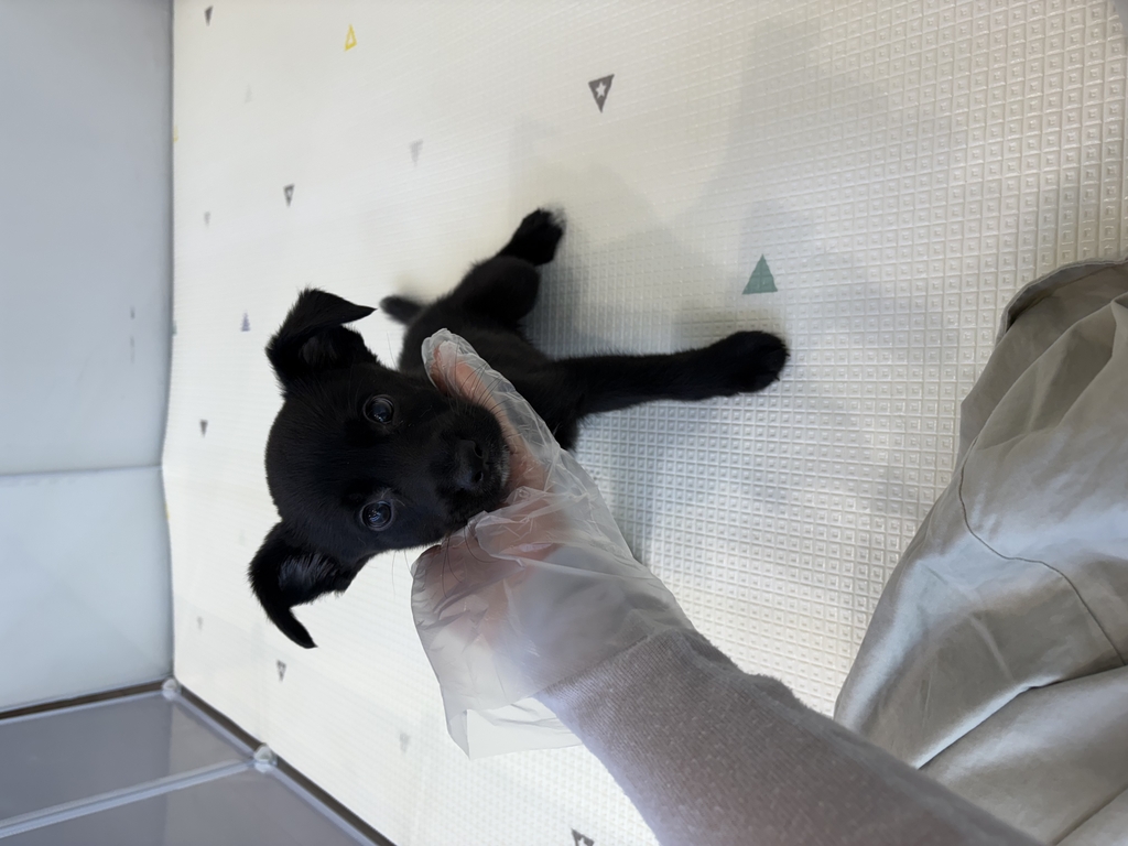 Ȯ�� �̹���