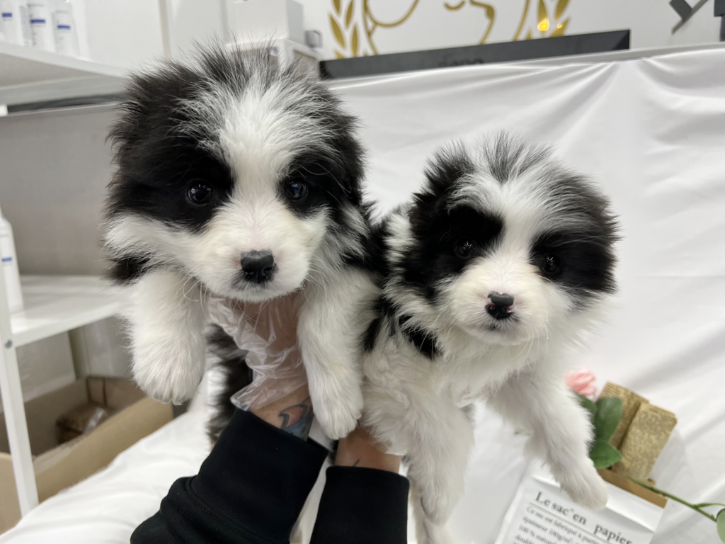 Ȯ�� �̹���