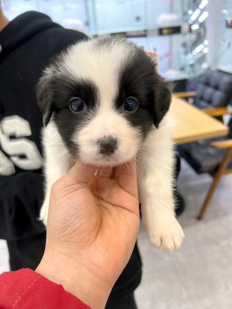 Ȯ�� �̹���