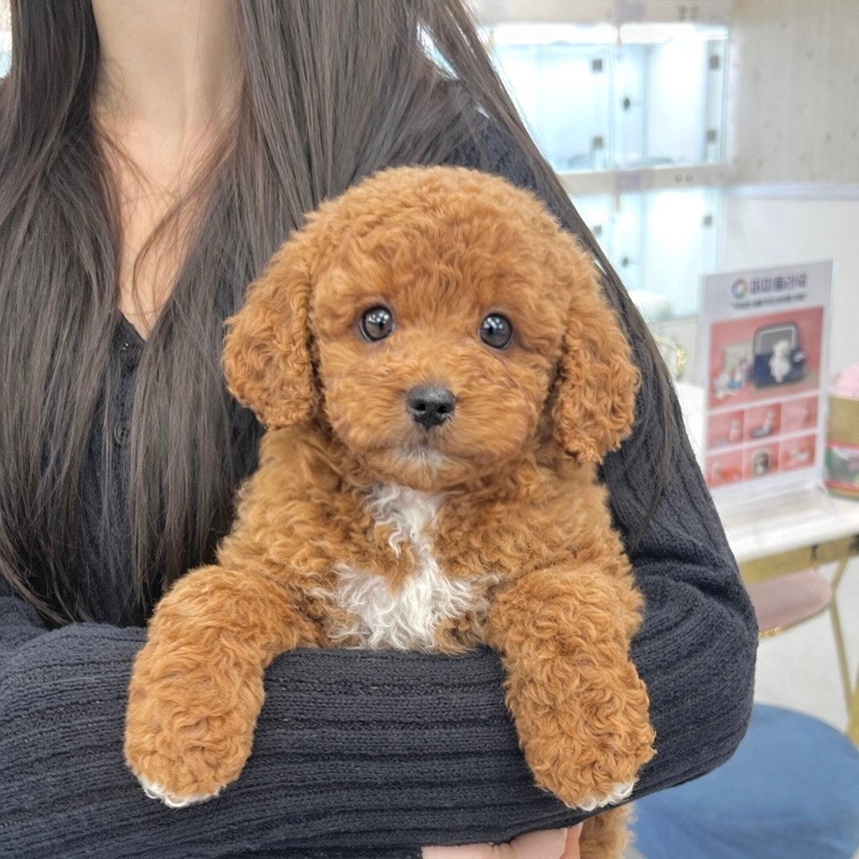 Ȯ�� �̹���