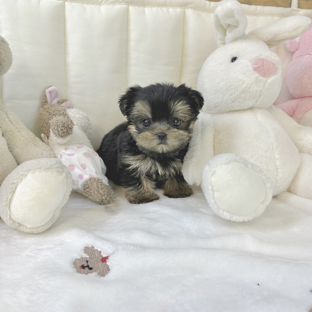 Ȯ�� �̹���