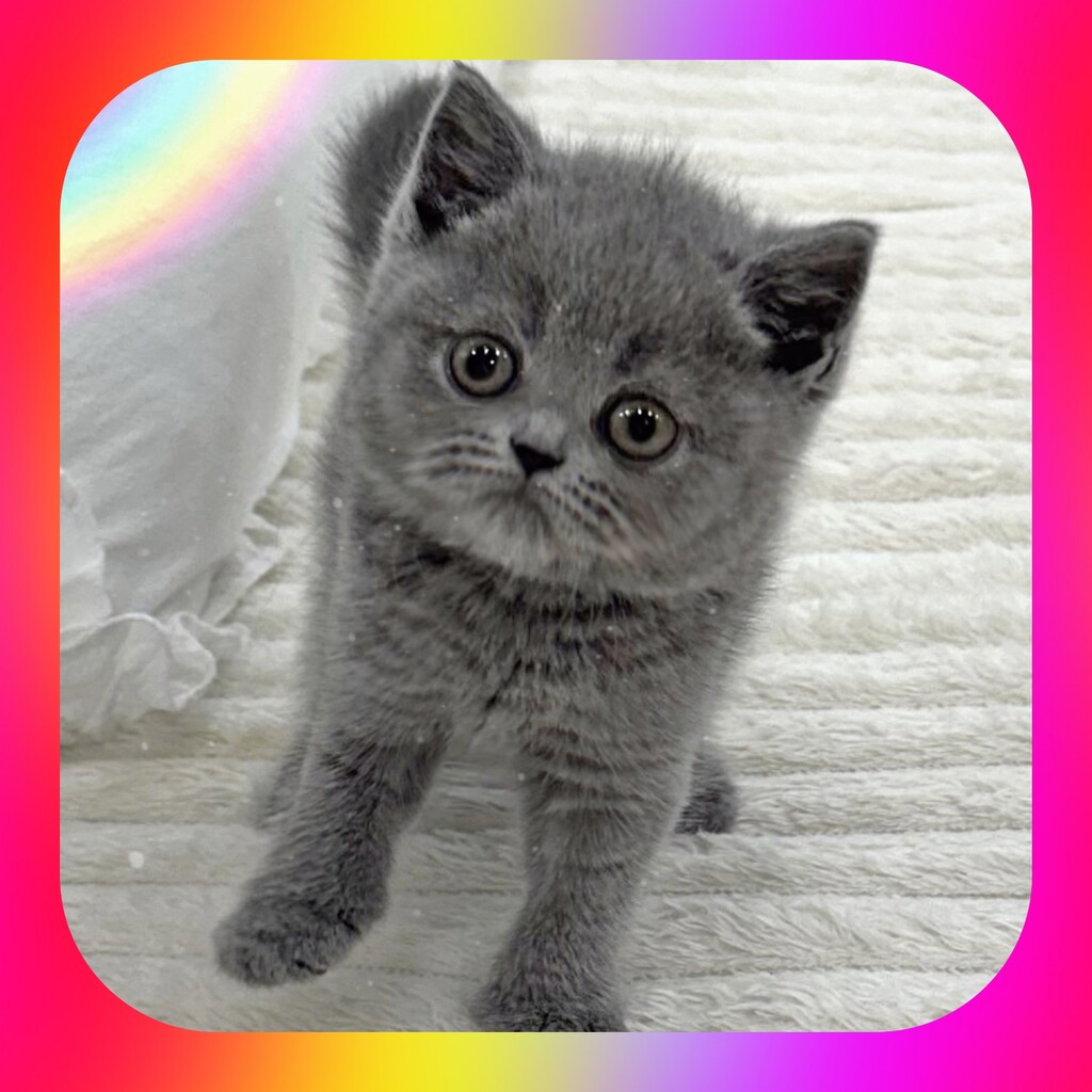 Ȯ�� �̹���