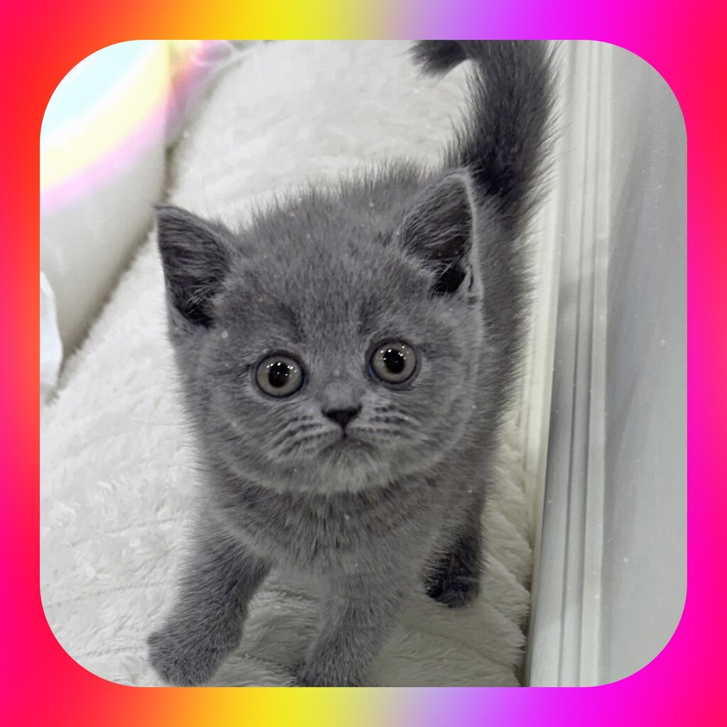 Ȯ�� �̹���