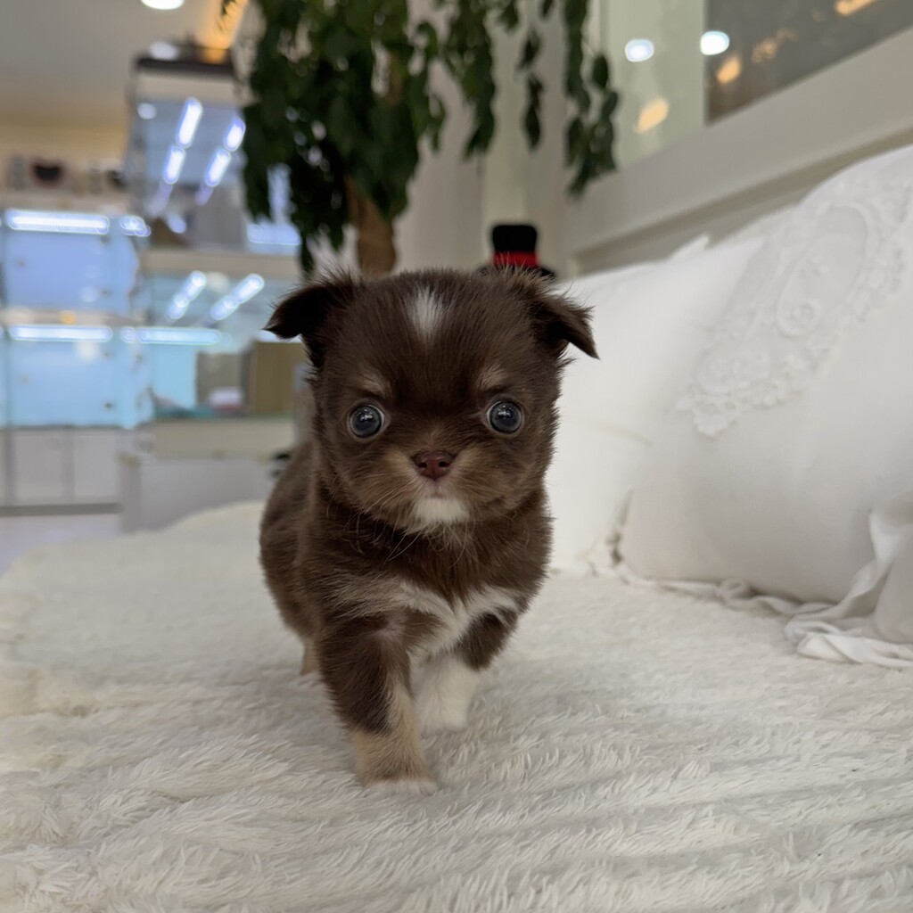 Ȯ�� �̹���