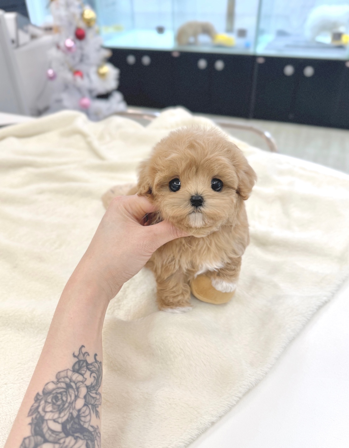 Ȯ�� �̹���