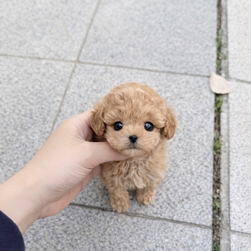 Ȯ�� �̹���