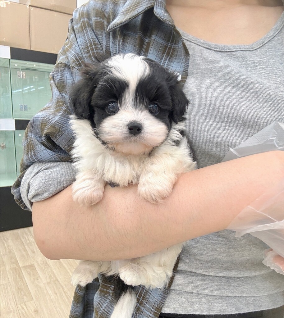 Ȯ�� �̹���