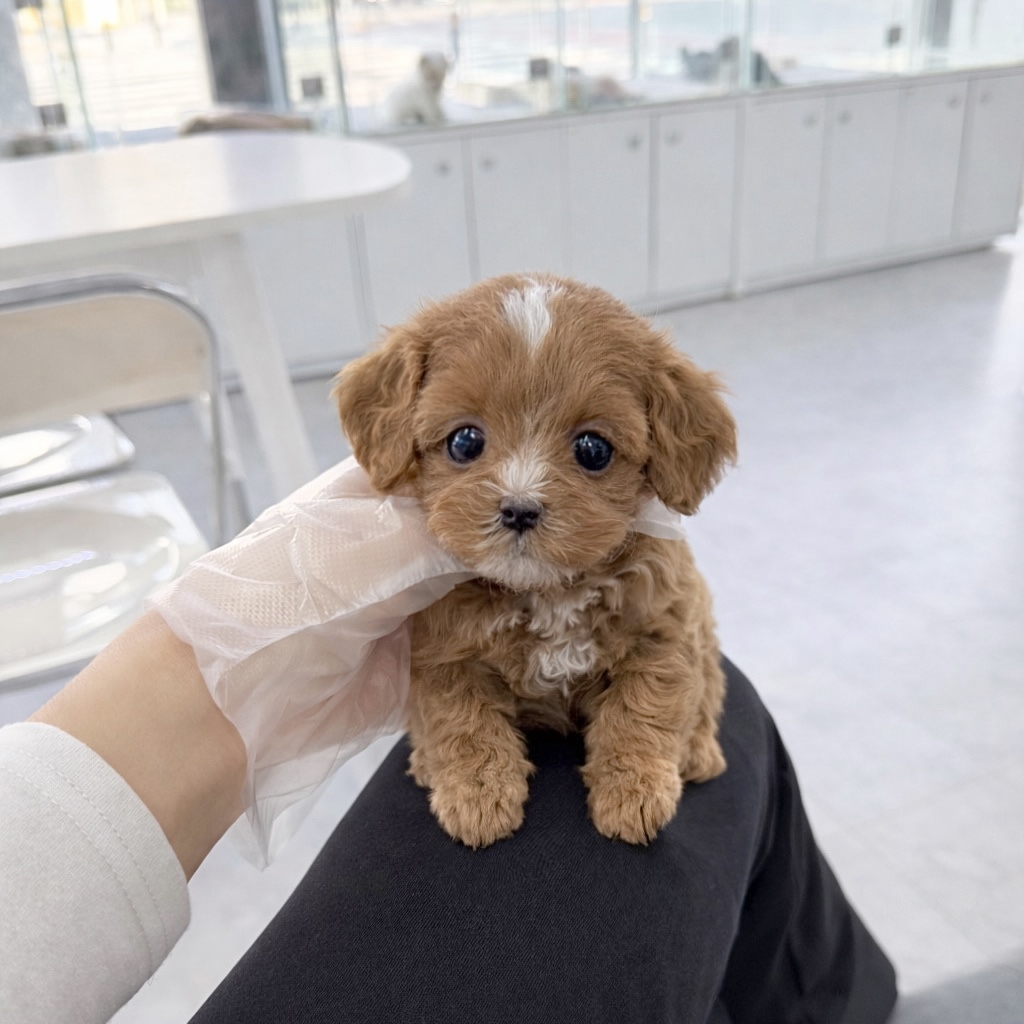 Ȯ�� �̹���