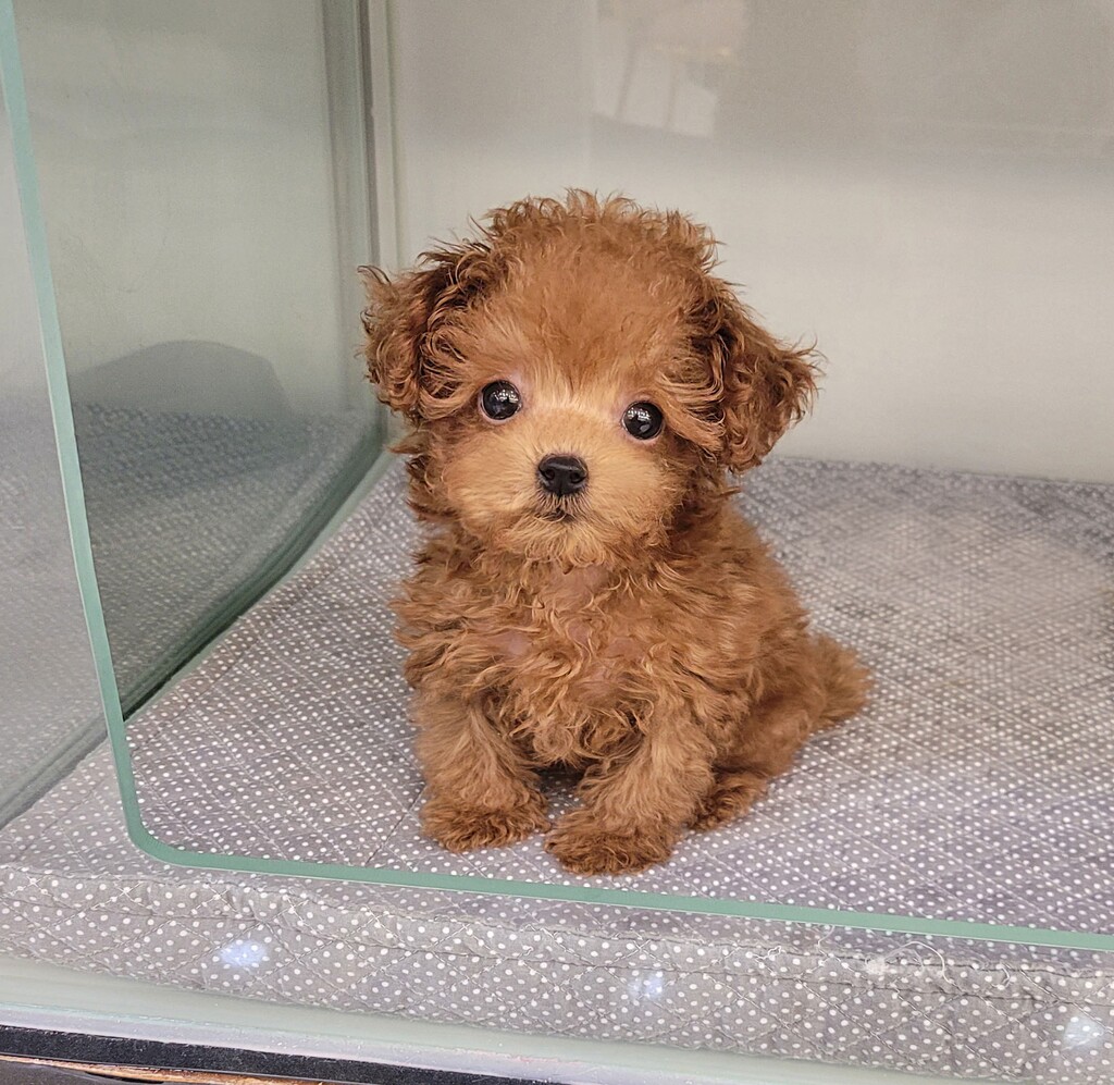 Ȯ�� �̹���